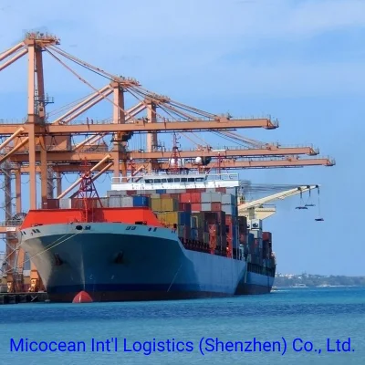 Servicios de transporte marítimo FCL/LCL desde China a Angola